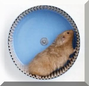 healing-from-the-hamster-wheel